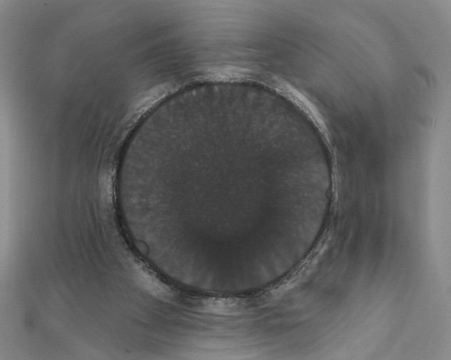 X0000111440105200908241152