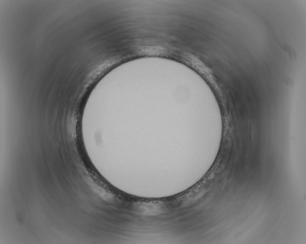 X0000111440106200908241152