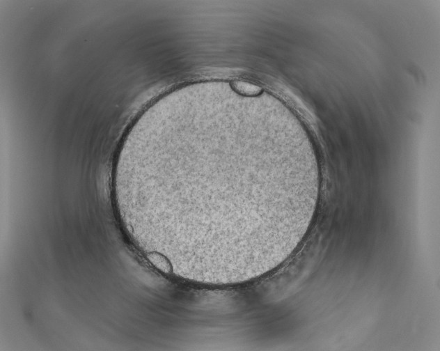 X0000111440107200908241152
