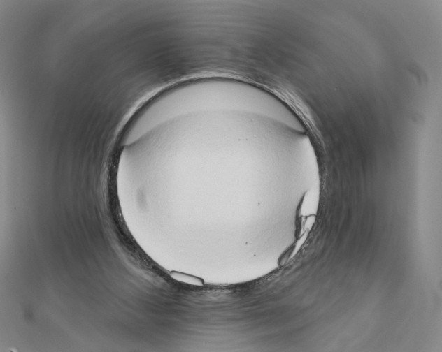X0000111440108200908241152