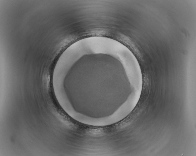 X0000111440110200908241152