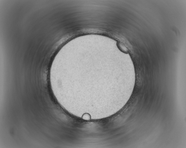 X0000111440111200908241152