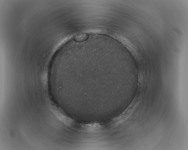 X0000111440112200908241152