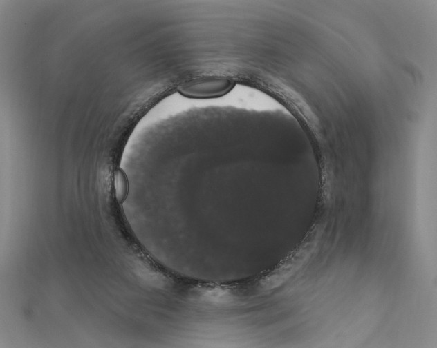 X0000111440113200908241152