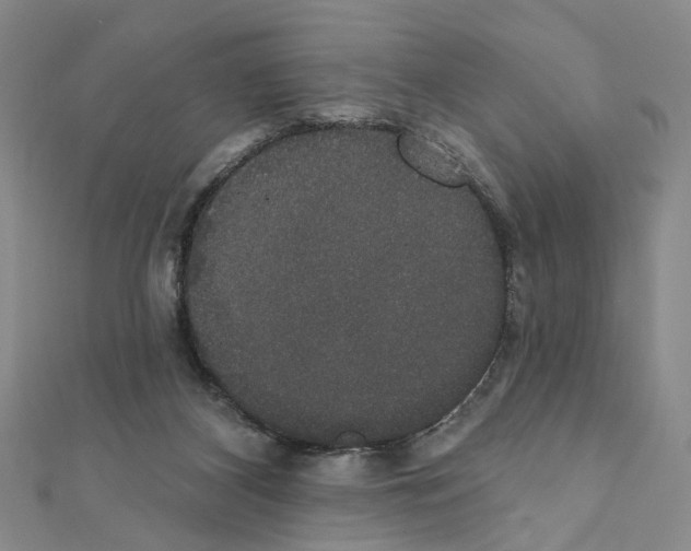 X0000111440116200908241152