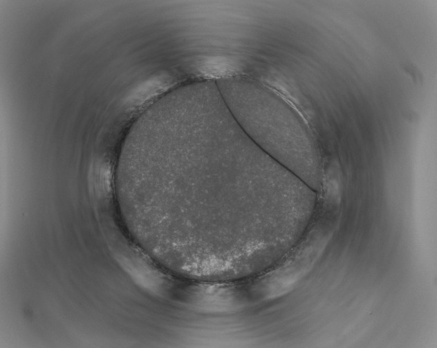 X0000111440117200908241152