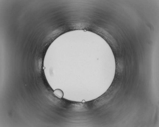 X0000111440118200908241152