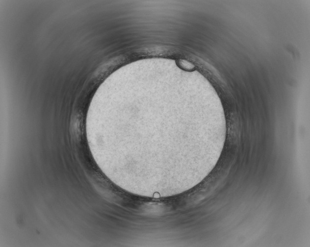 X0000111440119200908241152
