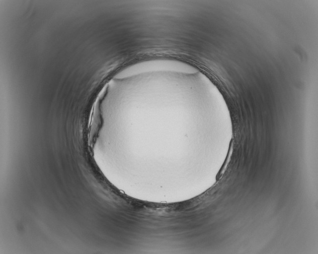 X0000111440120200908241152