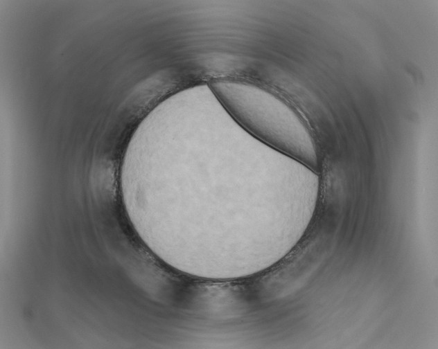 X0000111440121200908241152