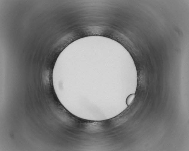 X0000111440122200908241152
