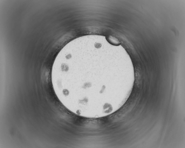 X0000111440123200908241152