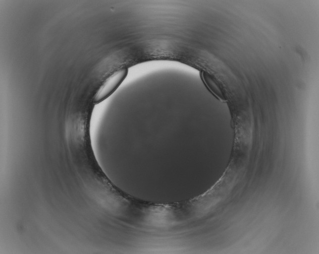 X0000111440124200908241152