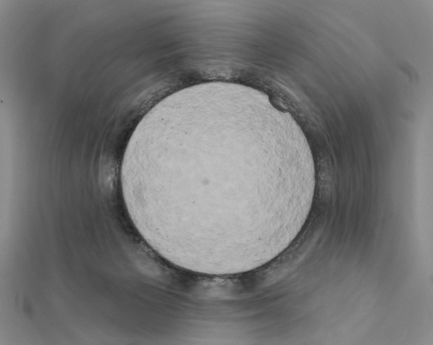 X0000111440125200908241152