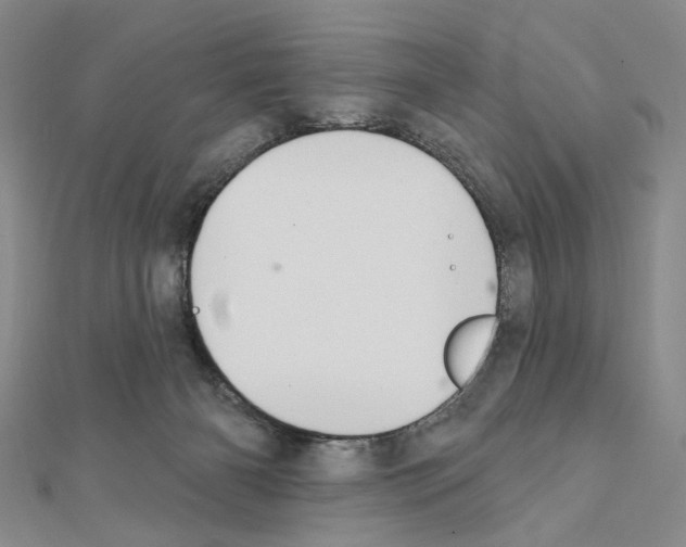 X0000111440126200908241152
