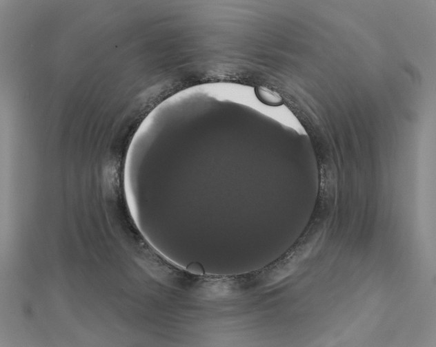 X0000111440127200908241152