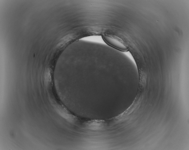 X0000111440128200908241152