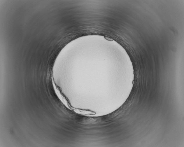 X0000111440129200908241152