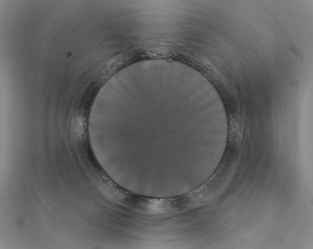 X0000111440130200908241152
