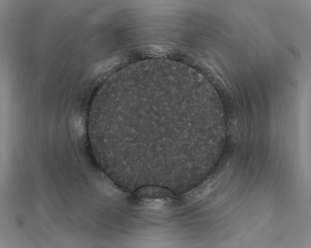 X0000111440131200908241152