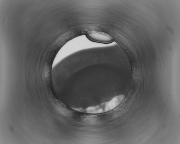 X0000111440132200908241152