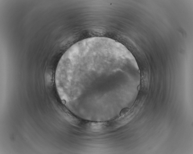X0000111440134200908241152