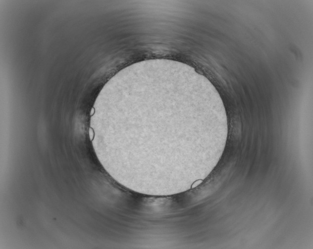 X0000111440135200908241152
