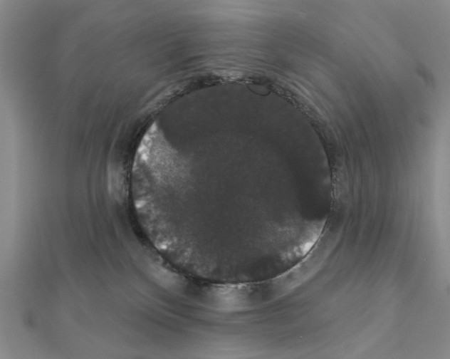 X0000111440136200908241152