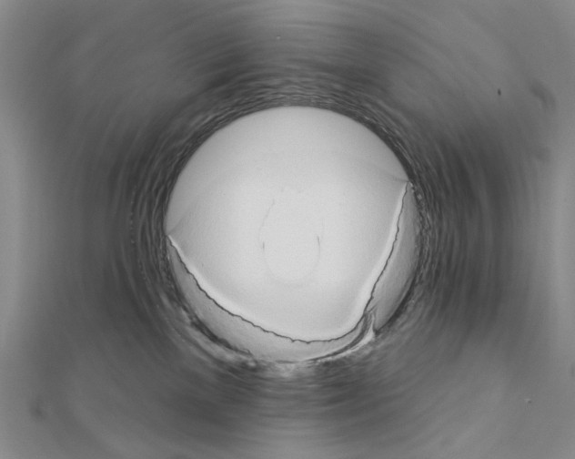 X0000111440137200908241152