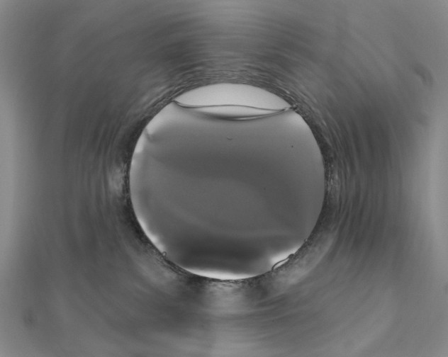 X0000111440139200908241152