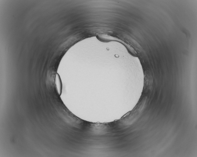 X0000111440141200908241152