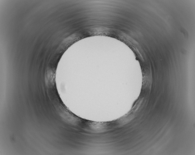 X0000111440142200908241152