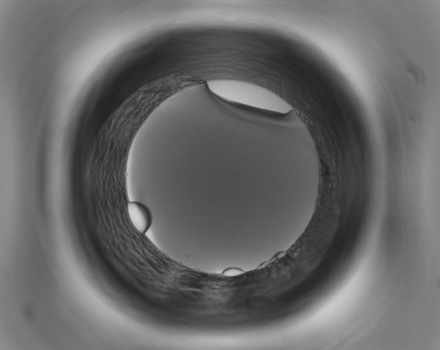 X0000111440143200908241152