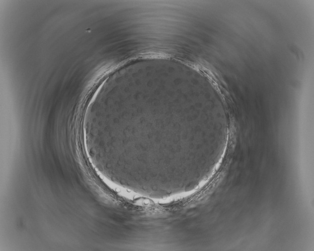 X0000111440145200908241151