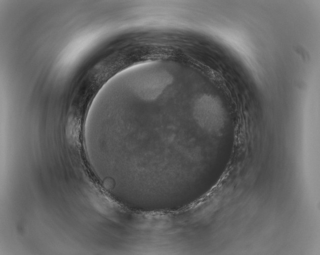 X0000111440146200908241151