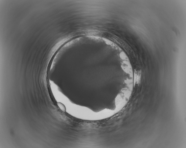 X0000111440147200908241151