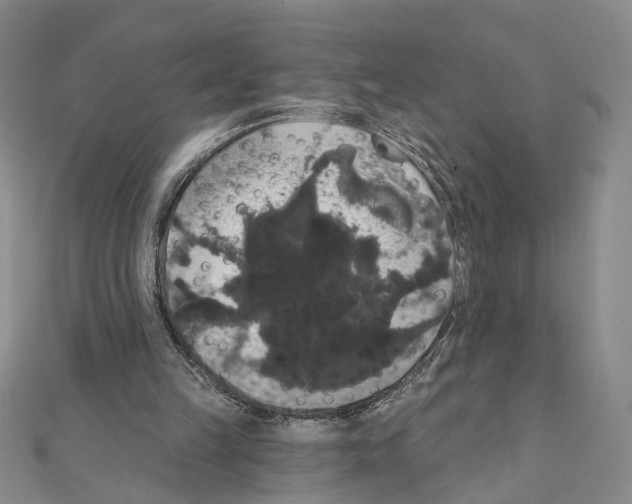 X0000111440149200908241151