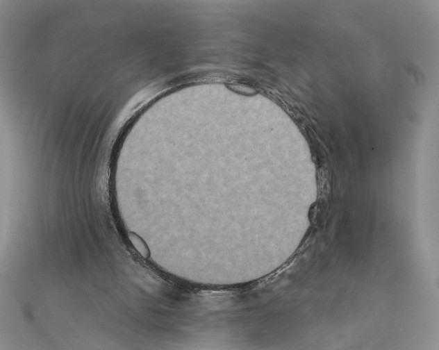 X0000111440150200908241151