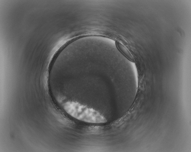 X0000111440152200908241151