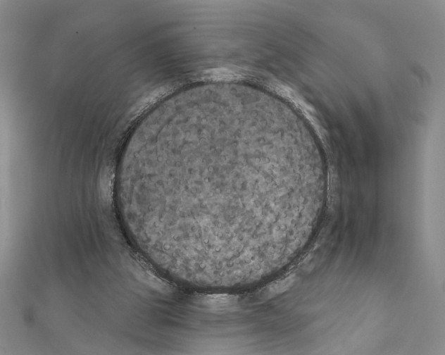 X0000111440153200908241151