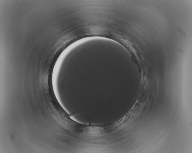X0000111440154200908241151