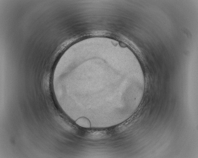 X0000111440155200908241151