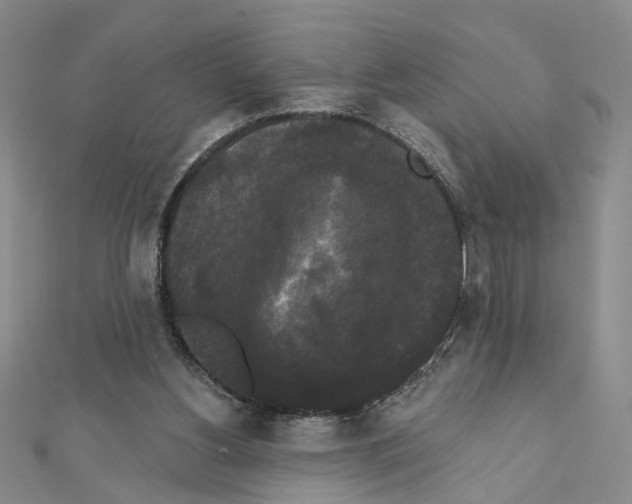 X0000111440156200908241151