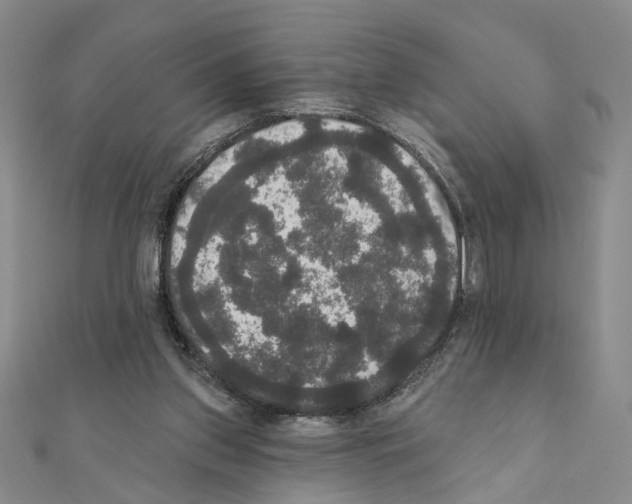 X0000111440157200908241151