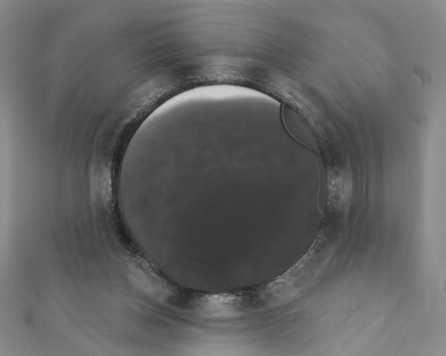 X0000111440158200908241151