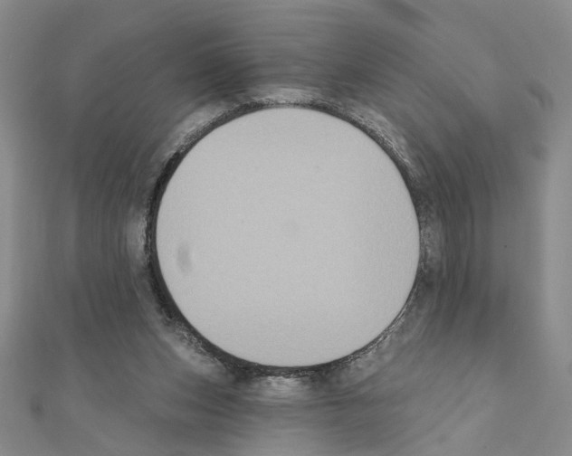 X0000111440159200908241151