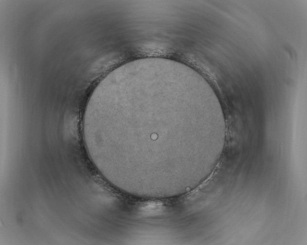 X0000111440162200908241151
