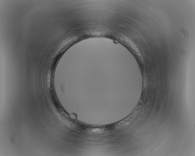X0000111440163200908241151