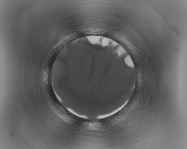 X0000111440165200908241151
