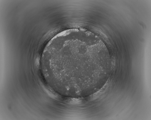 X0000111440166200908241151